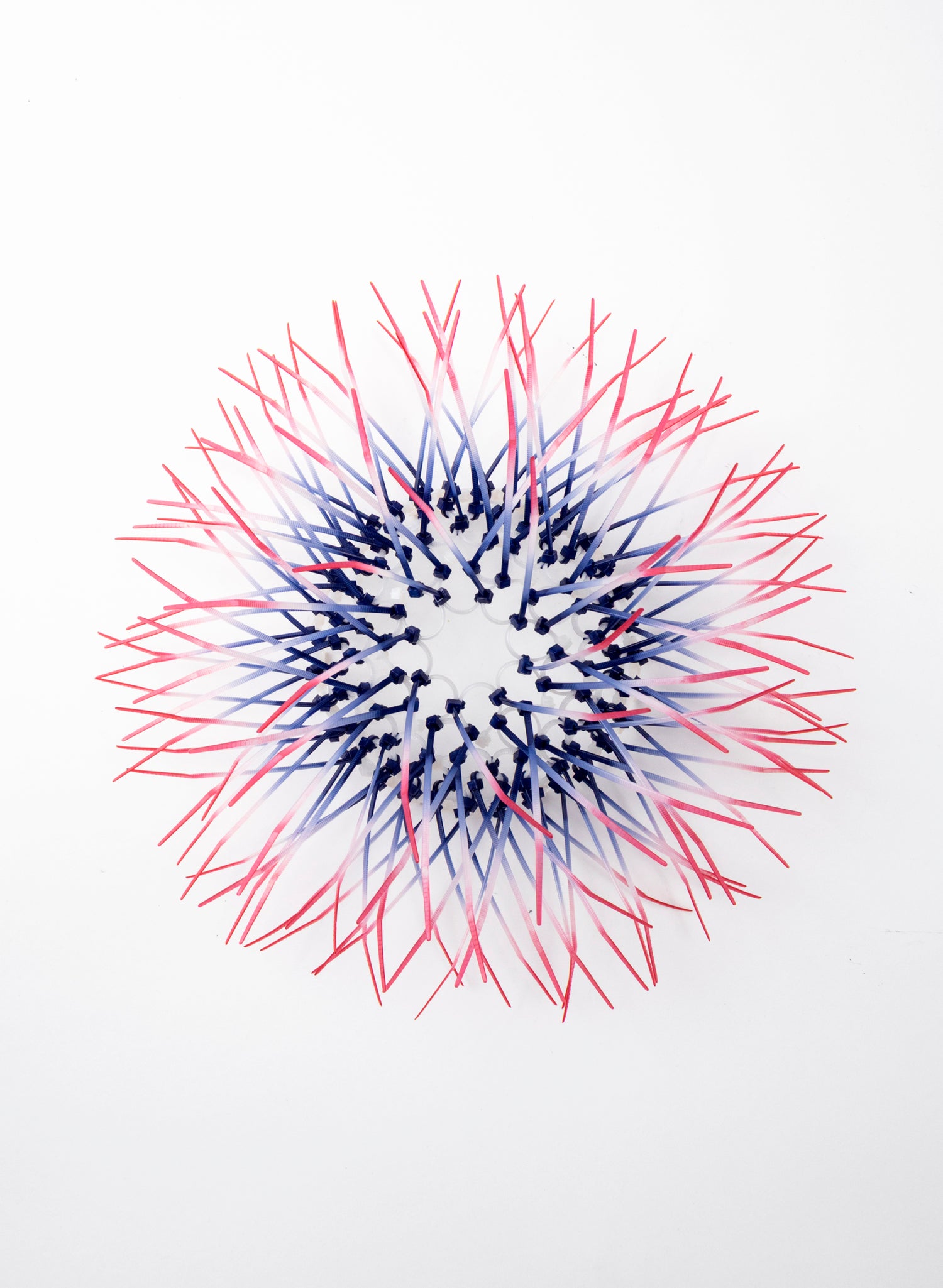 Mini Kina - Navy / Pink