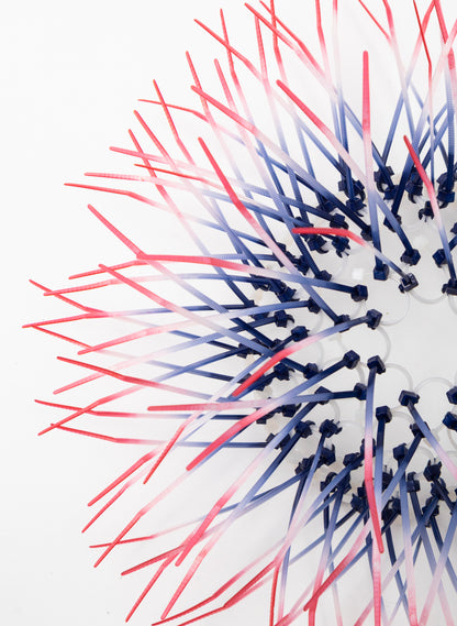 Mini Kina - Navy / Pink