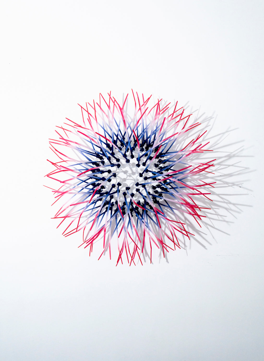 Mini Kina - Navy / Pink