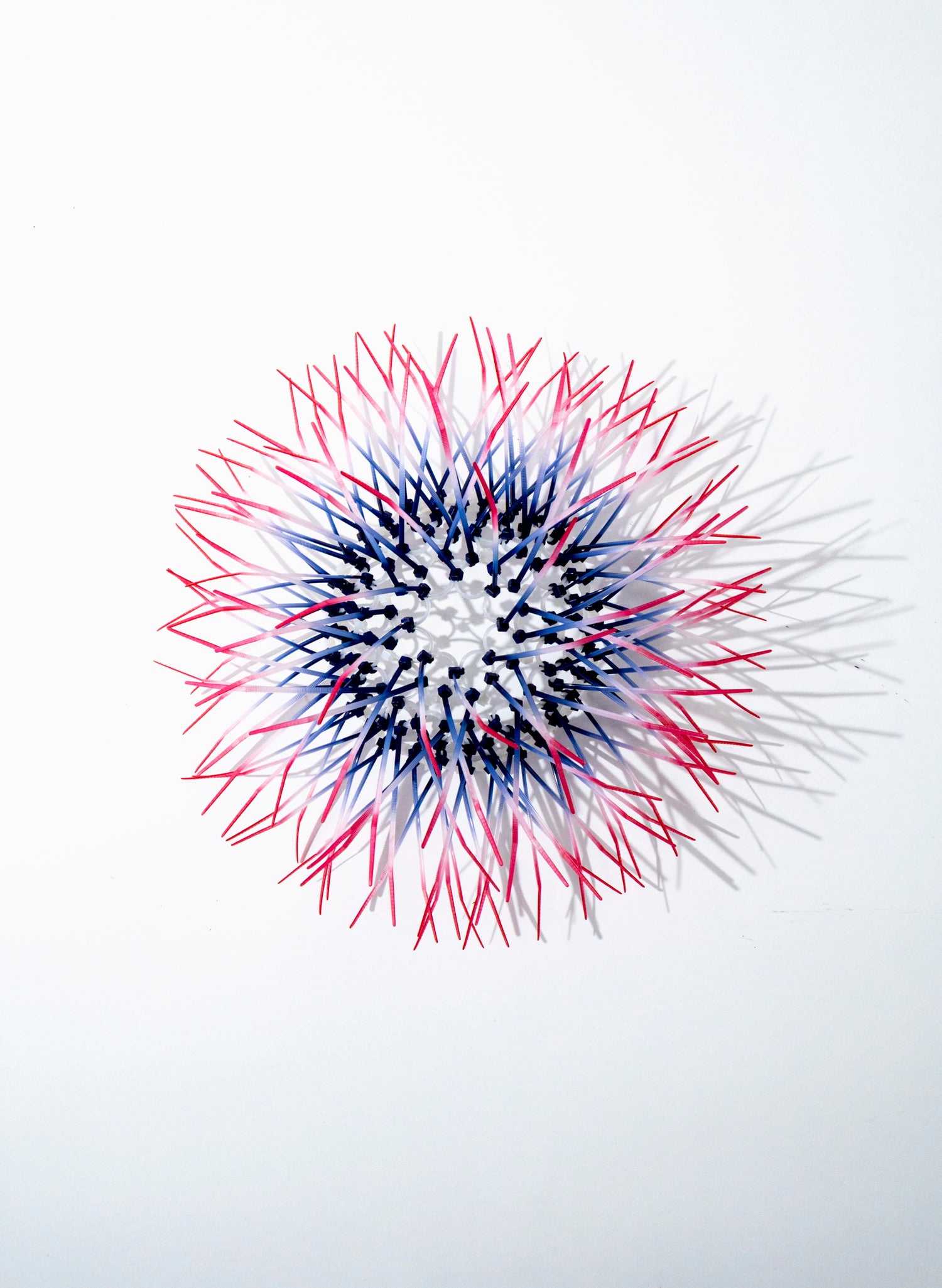 Mini Kina - Navy / Pink