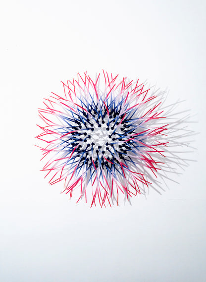 Mini Kina - Navy / Pink