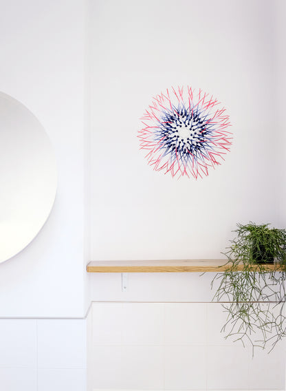 Mini Kina - Navy / Pink