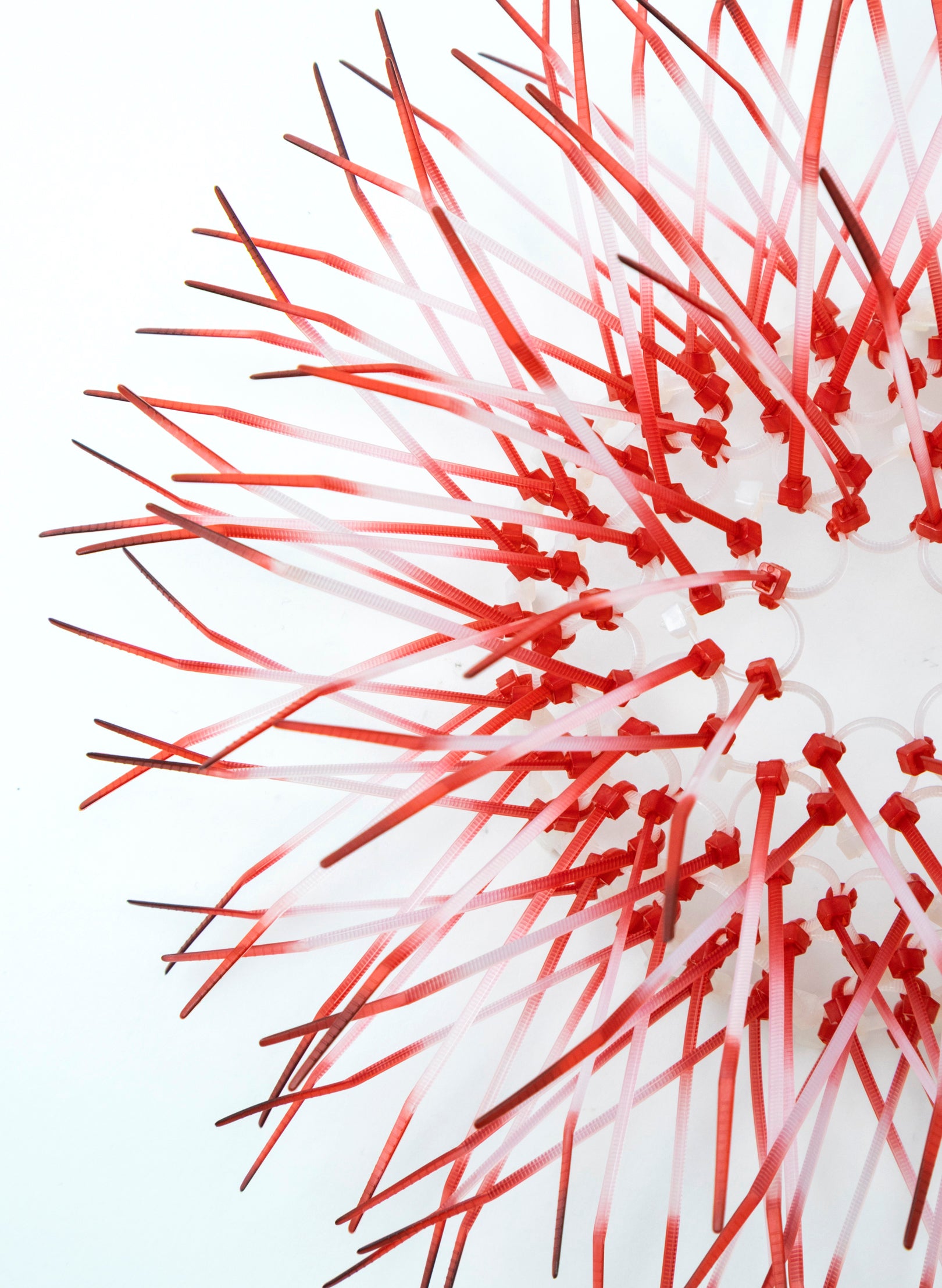 Mini Kina - Pink / Pink