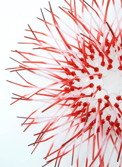 Mini Kina - Pink / Pink