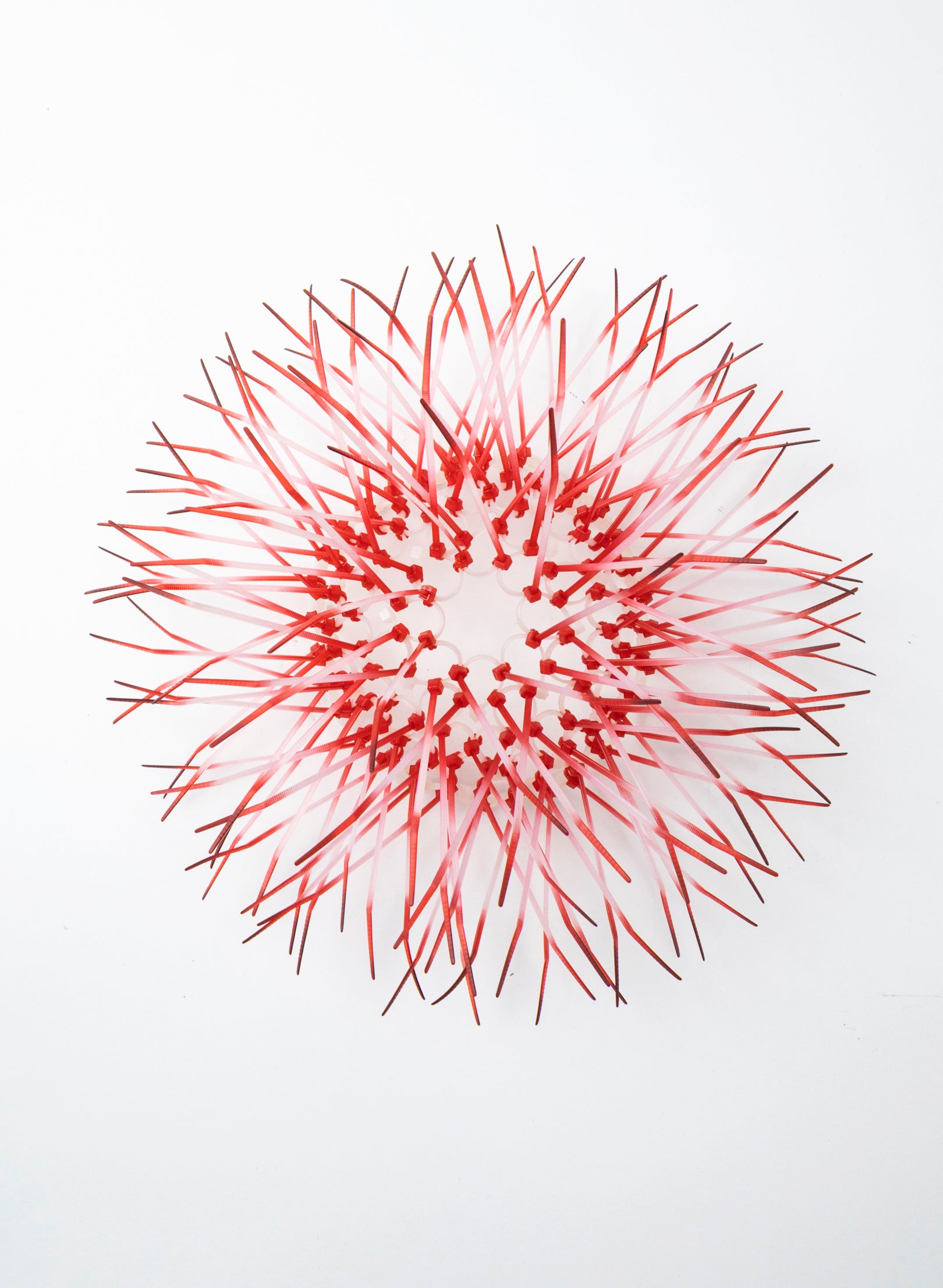 Mini Kina - Pink / Pink