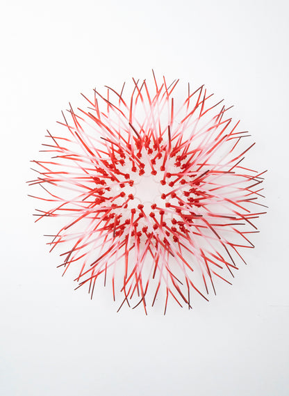 Mini Kina - Pink / Pink