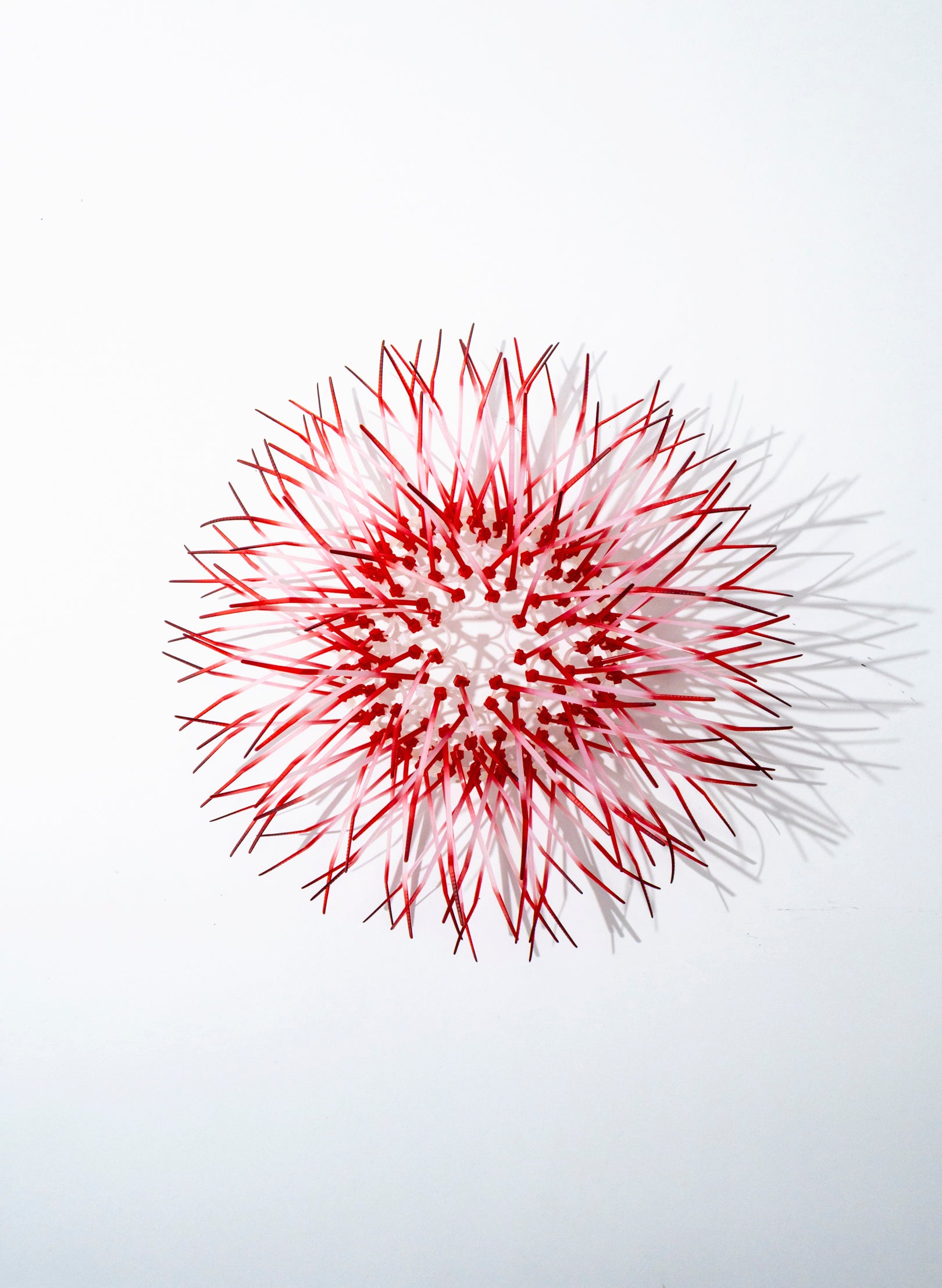 Mini Kina - Pink / Pink