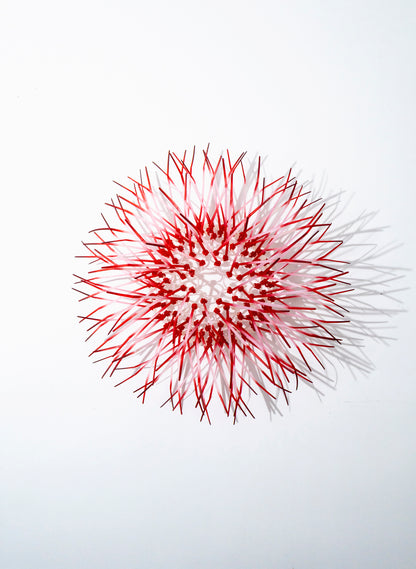 Mini Kina - Pink / Pink