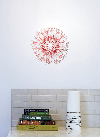 Mini Kina - Pink / Pink