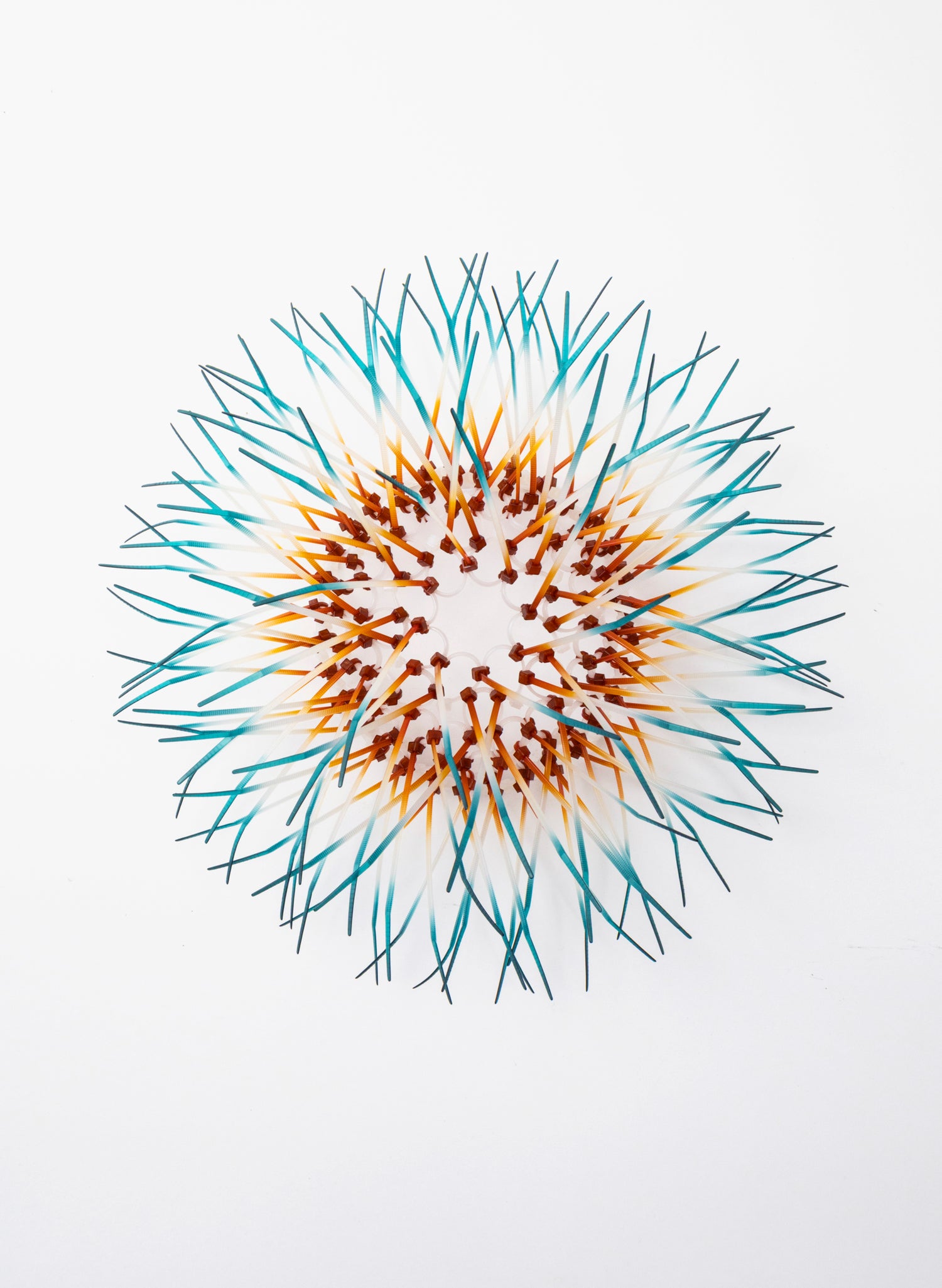 Mini Kina - Orange / Teal