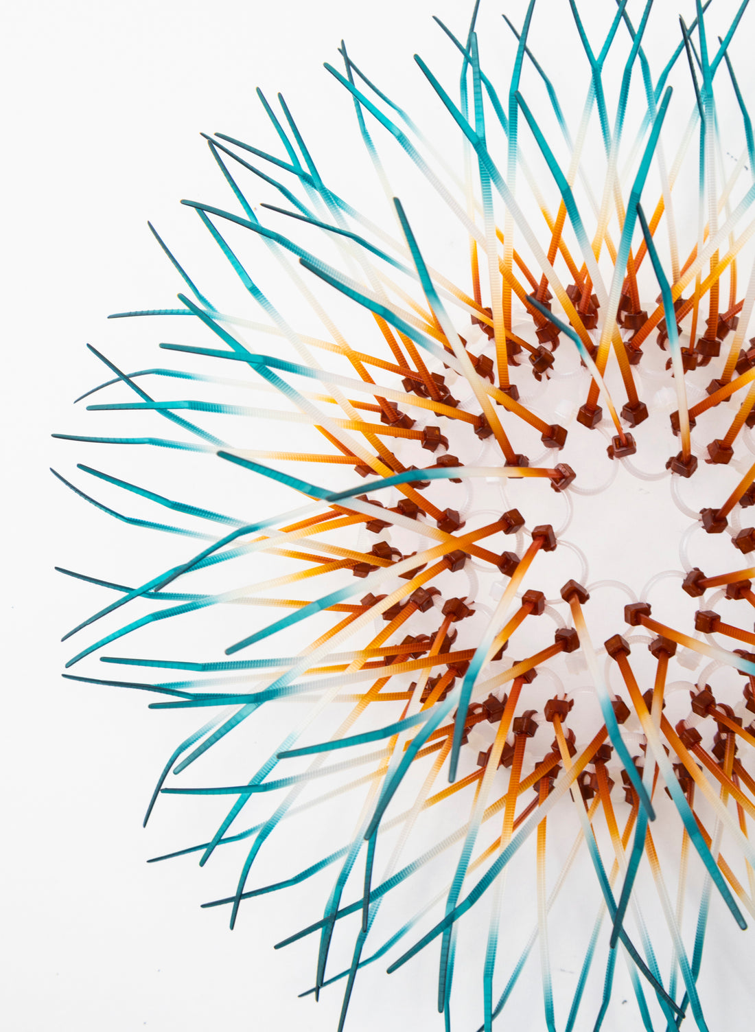 Mini Kina - Orange / Teal