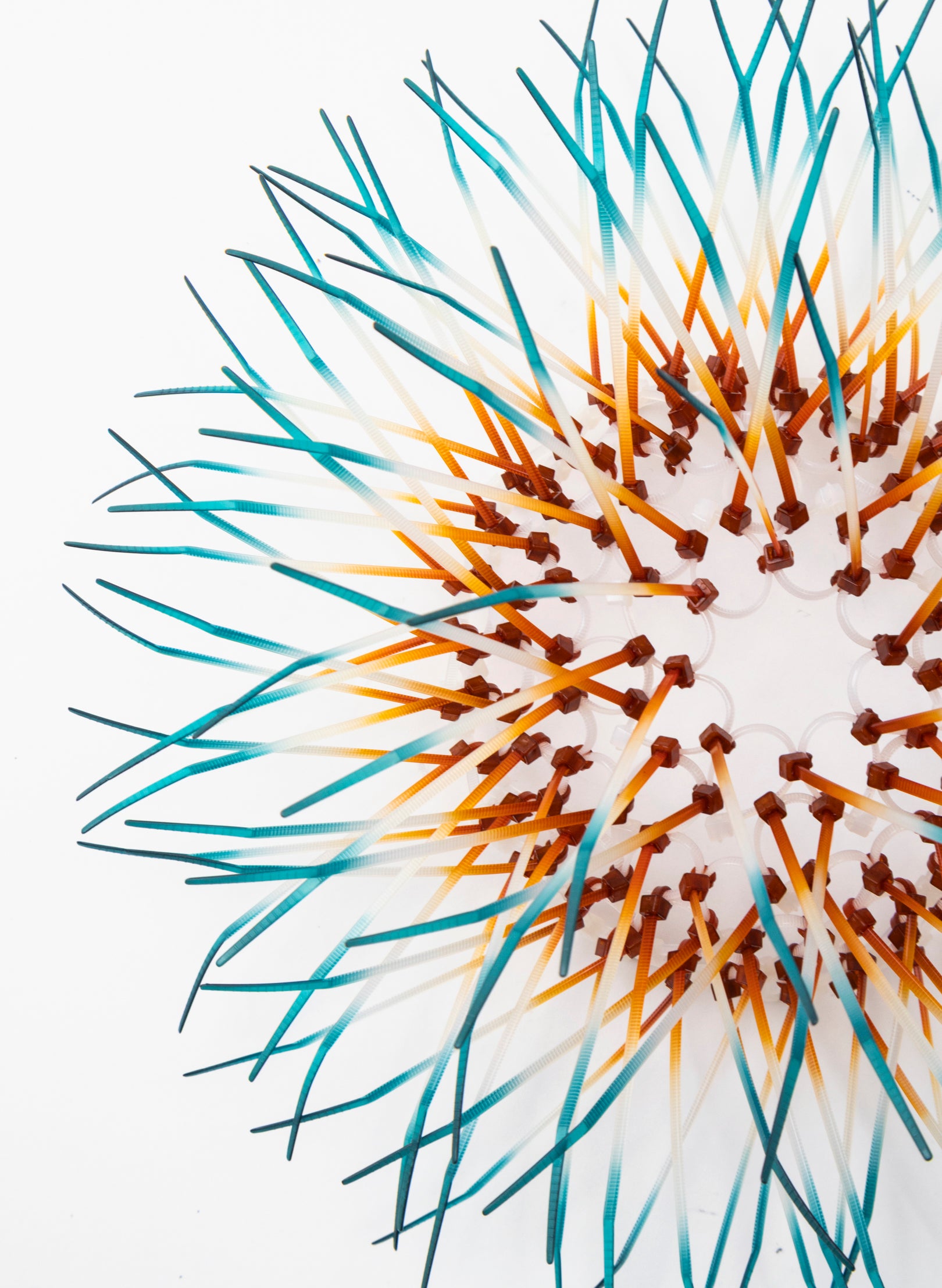 Mini Kina - Orange / Teal