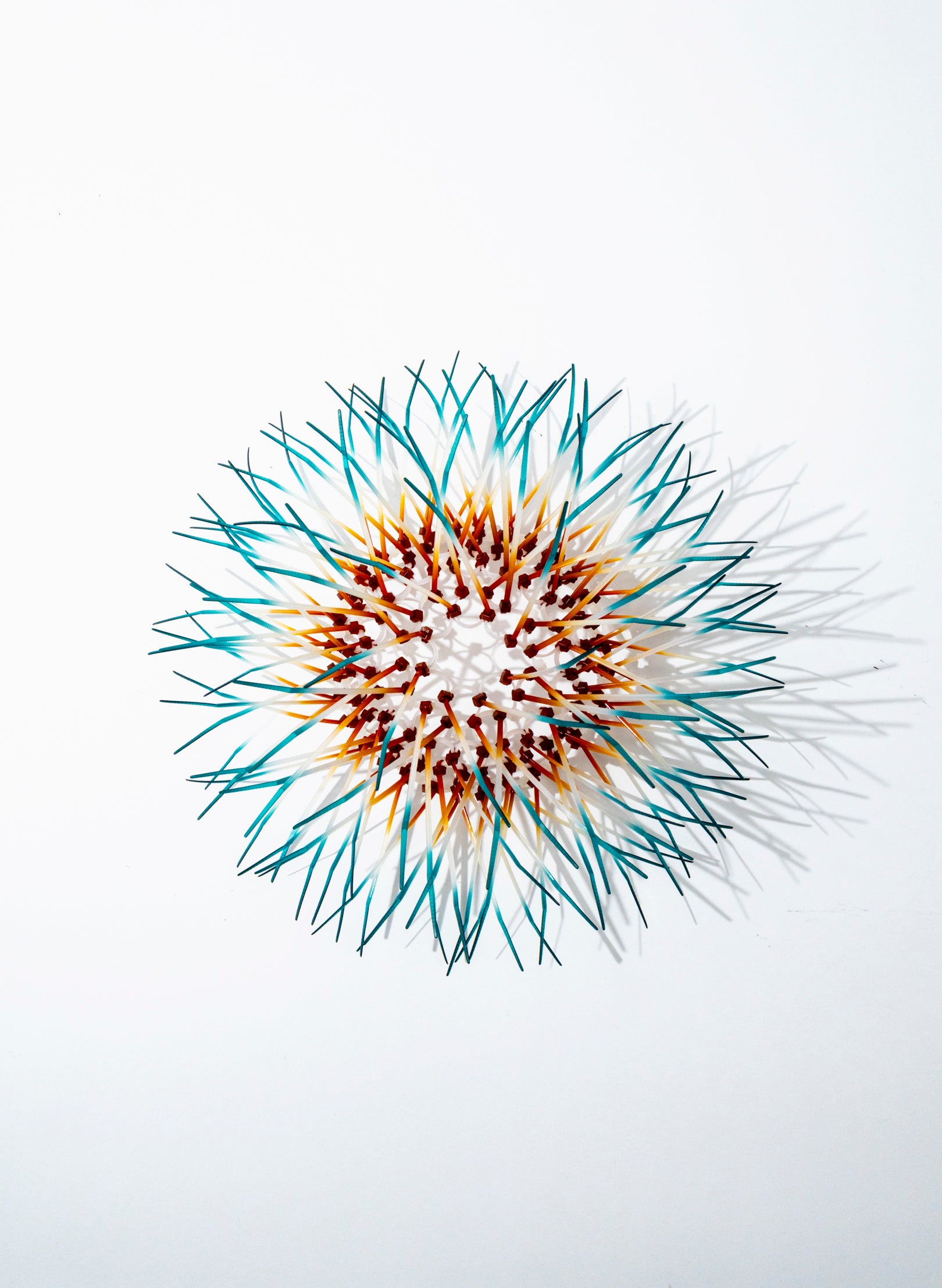 Mini Kina - Orange / Teal