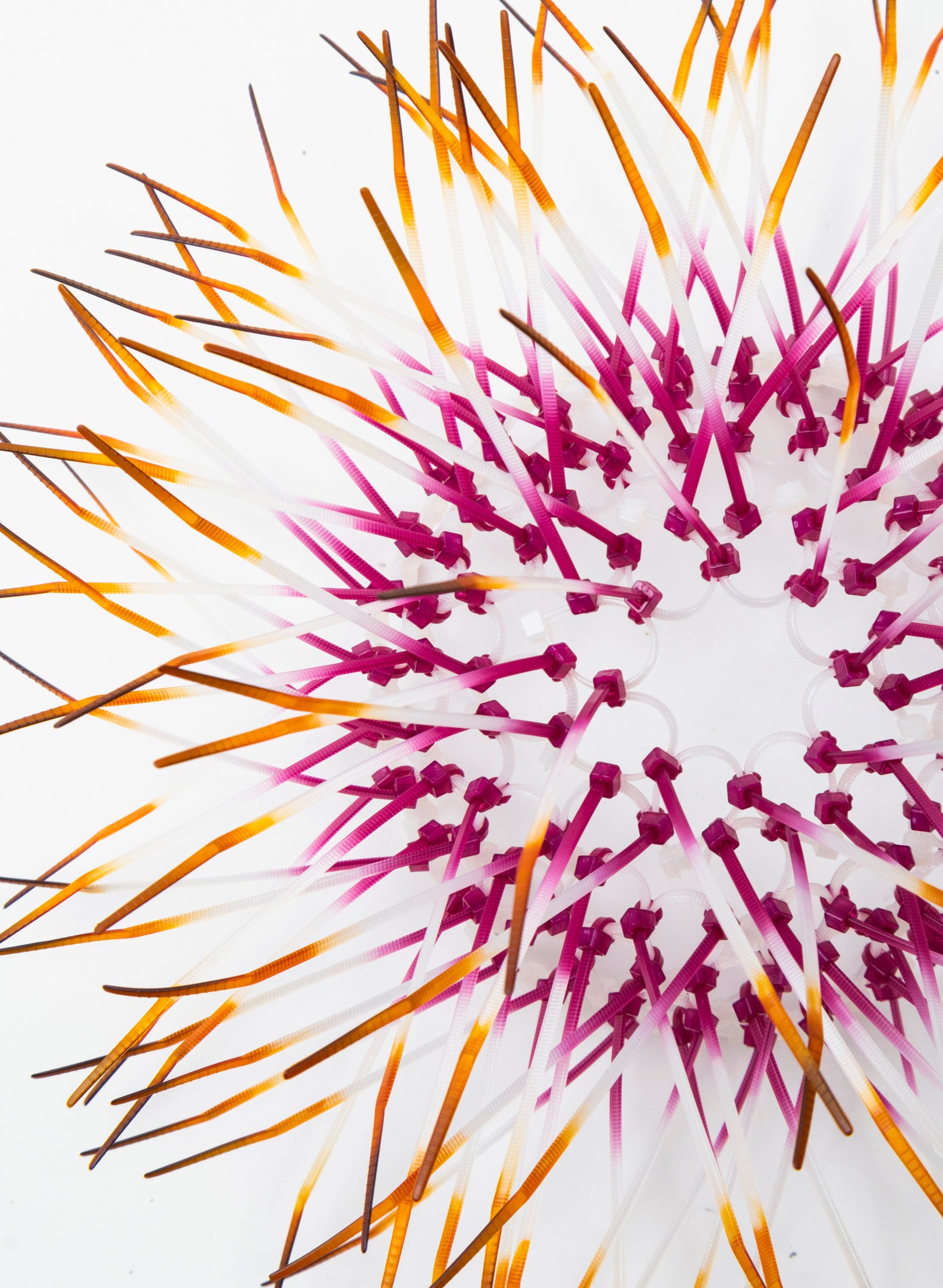 Mini Kina - Fuchsia / Orange