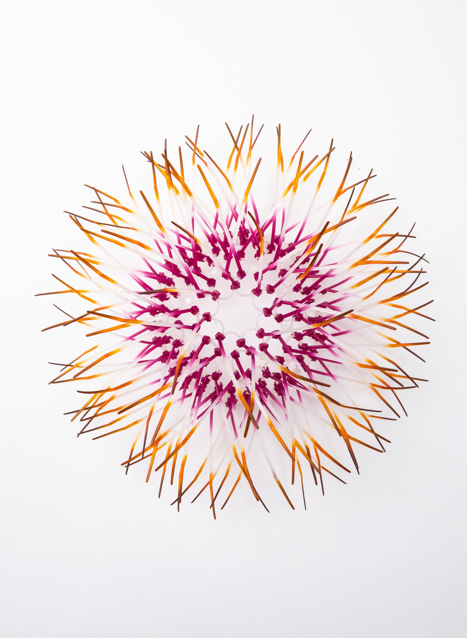 Mini Kina - Fuchsia / Orange