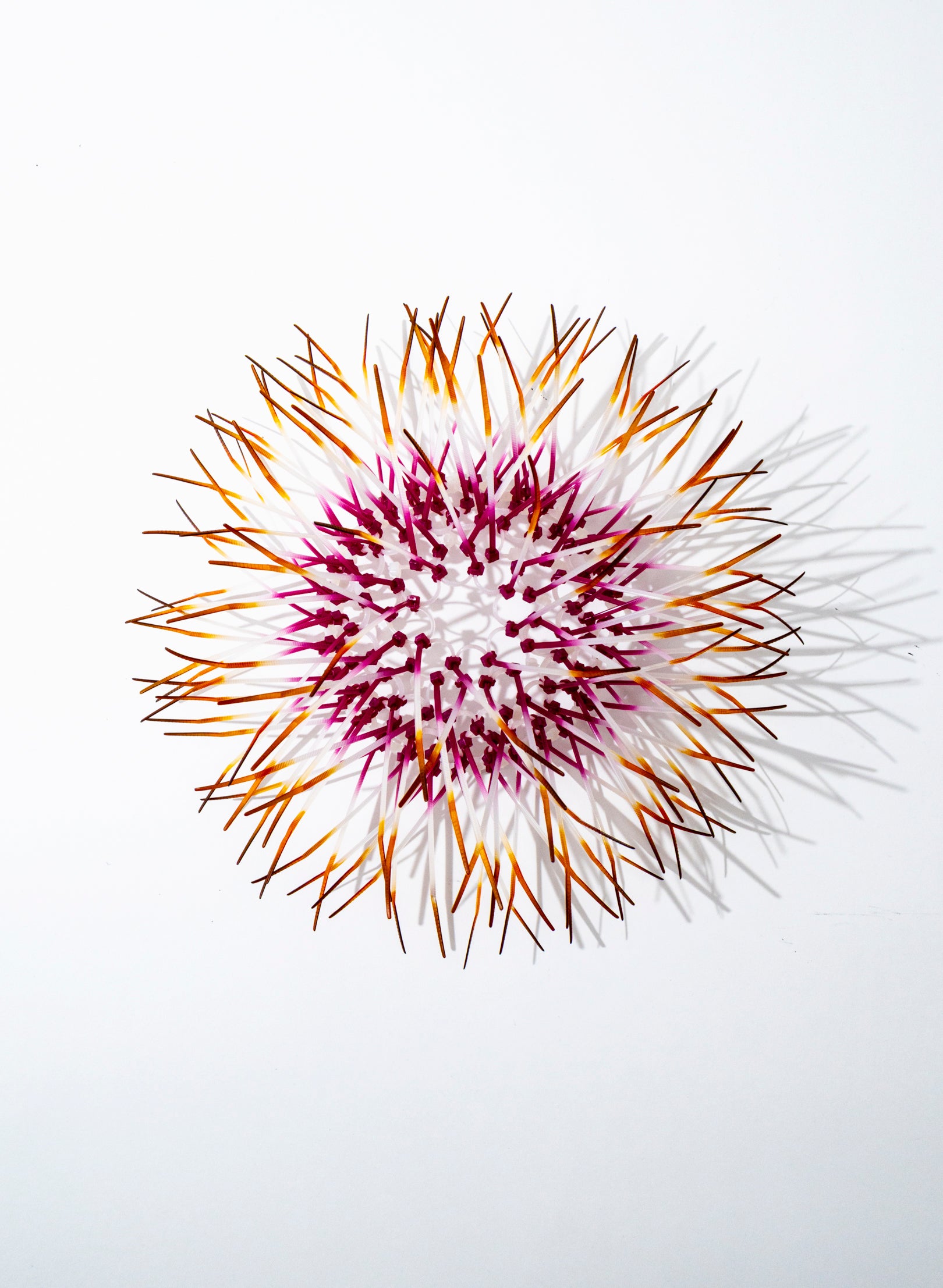 Mini Kina - Fuchsia / Orange