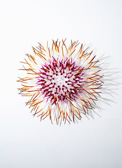 Mini Kina - Fuchsia / Orange