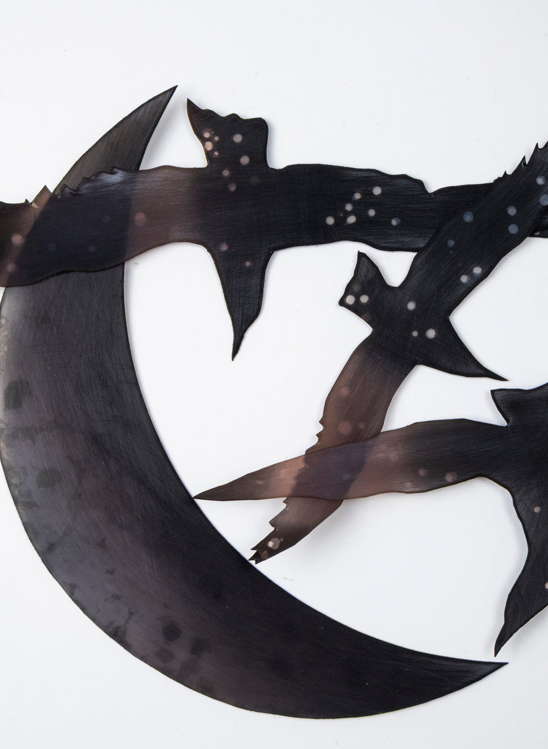 Tarapuka - Night Flight