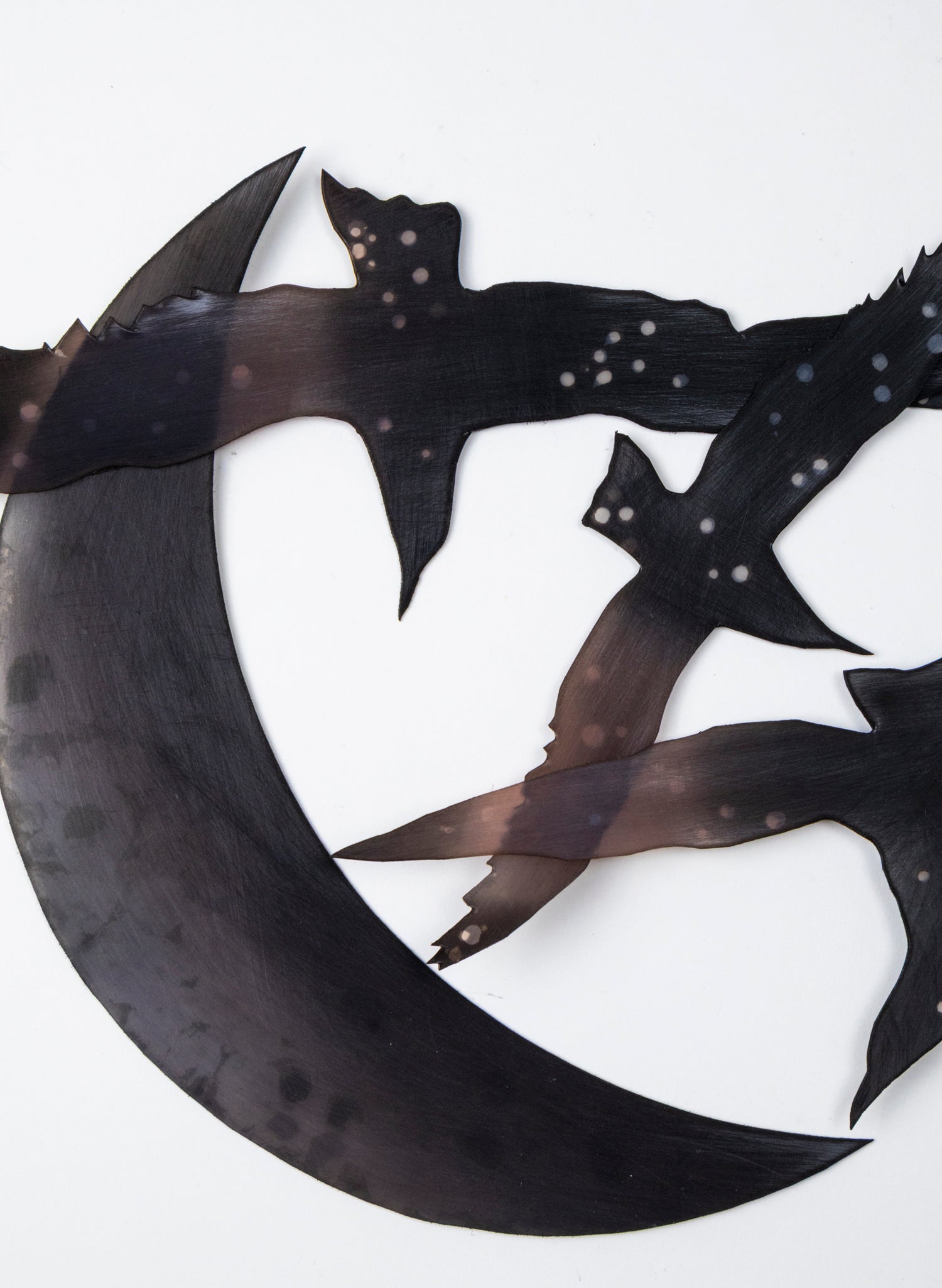 Tarapuka - Night Flight