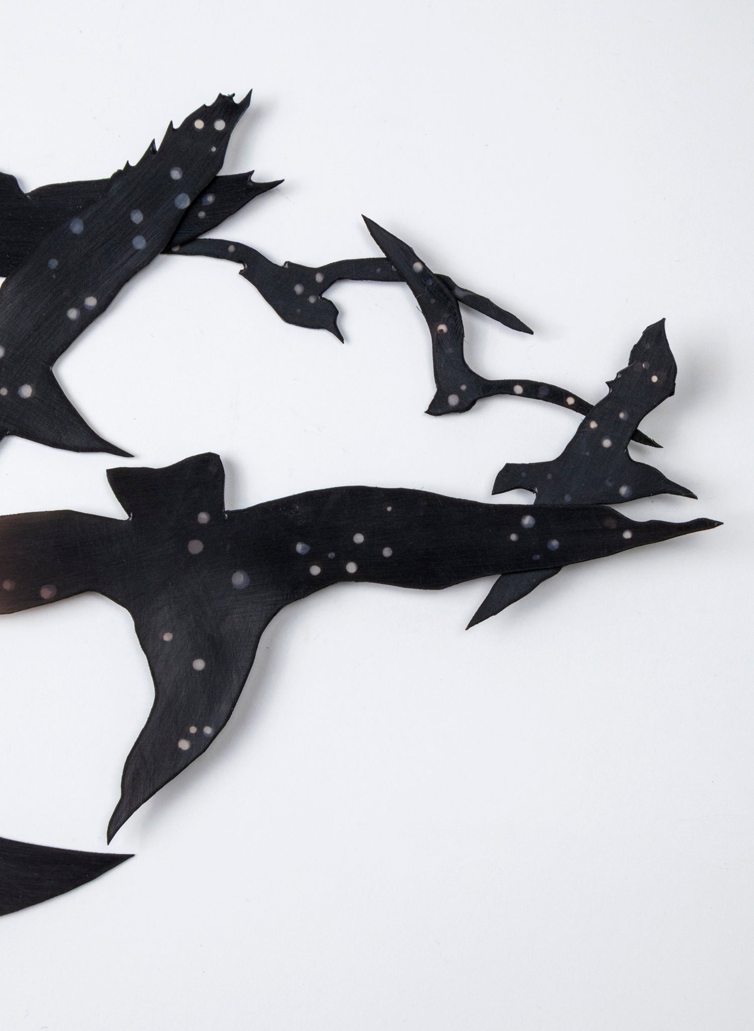 Tarapuka - Night Flight