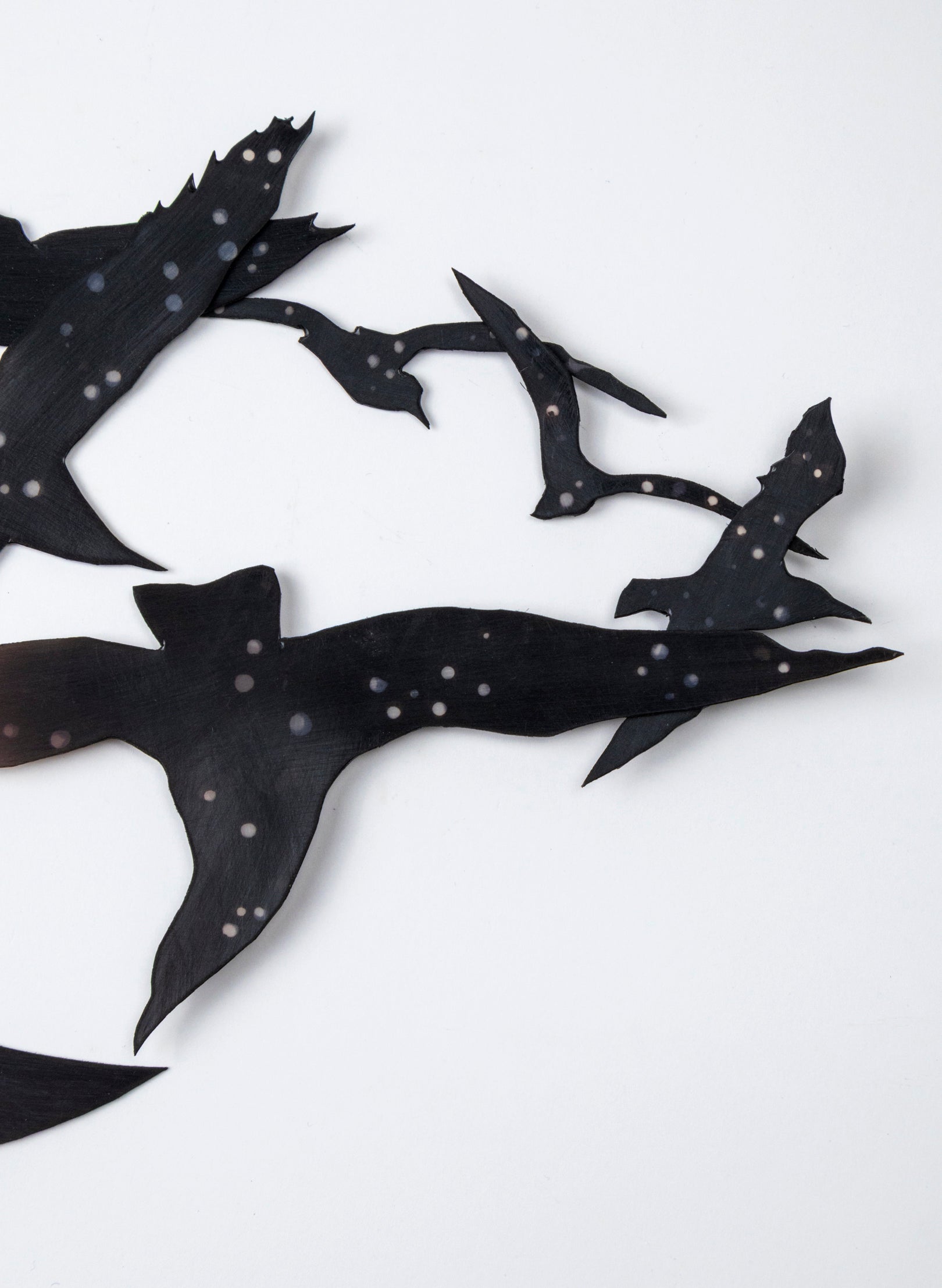 Tarapuka - Night Flight