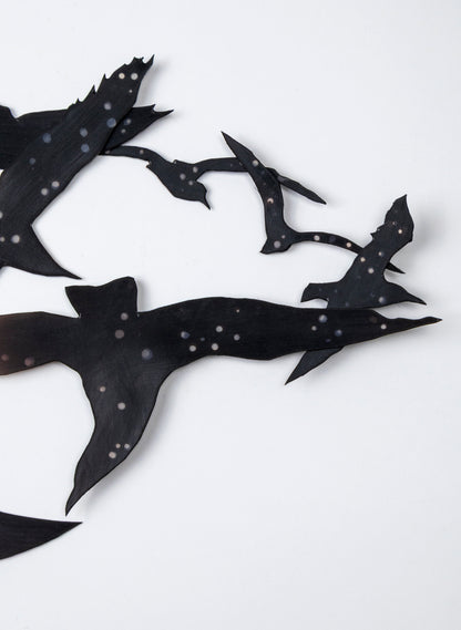 Tarapuka - Night Flight