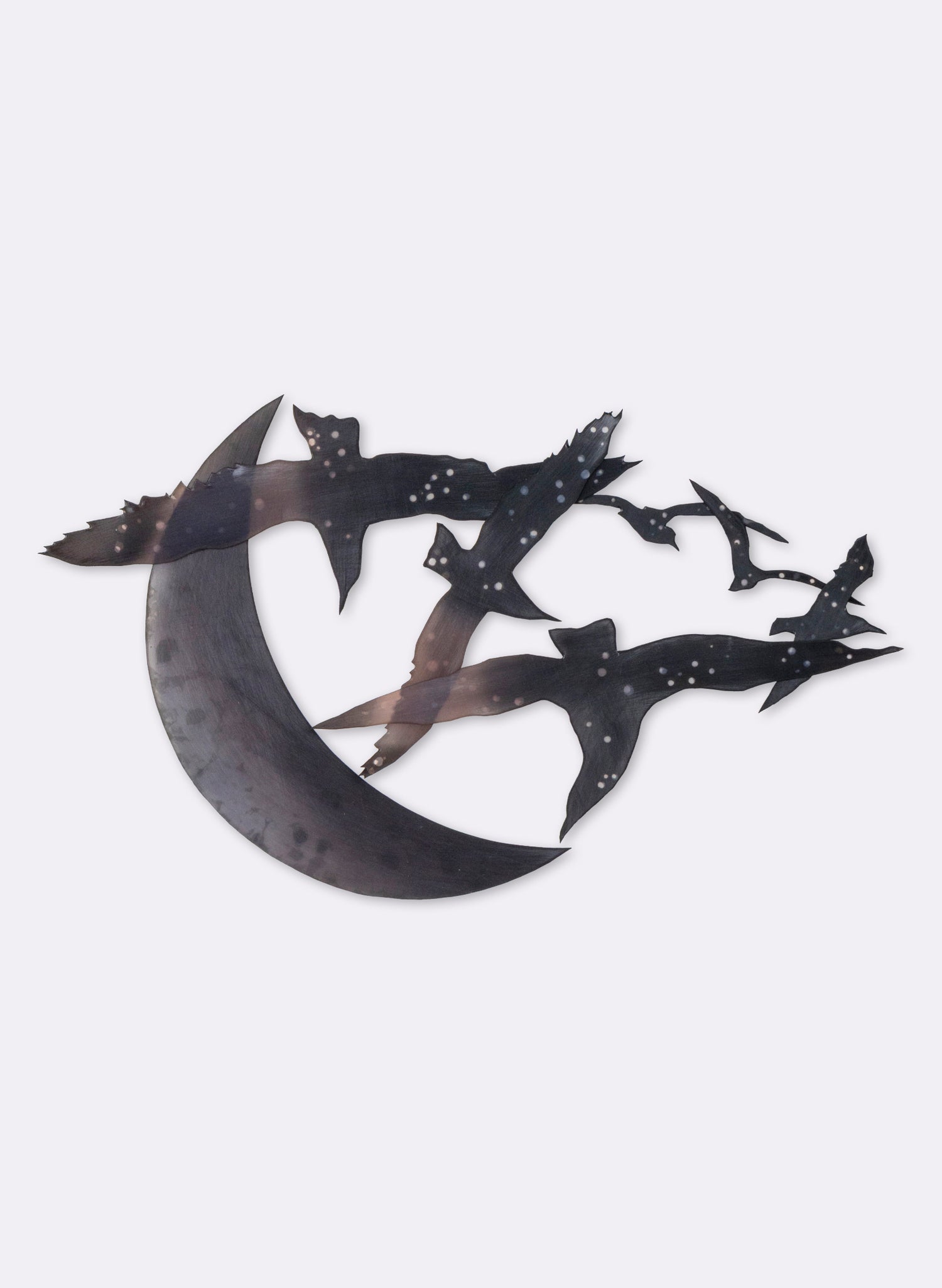 Tarapuka - Night Flight