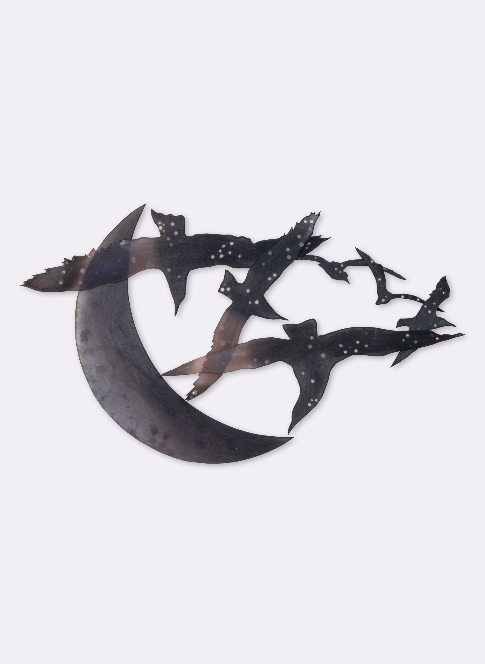 Tarapuka - Night Flight