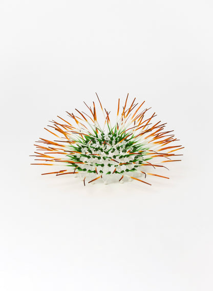 Mini Kina - Green  / Burnt Orange