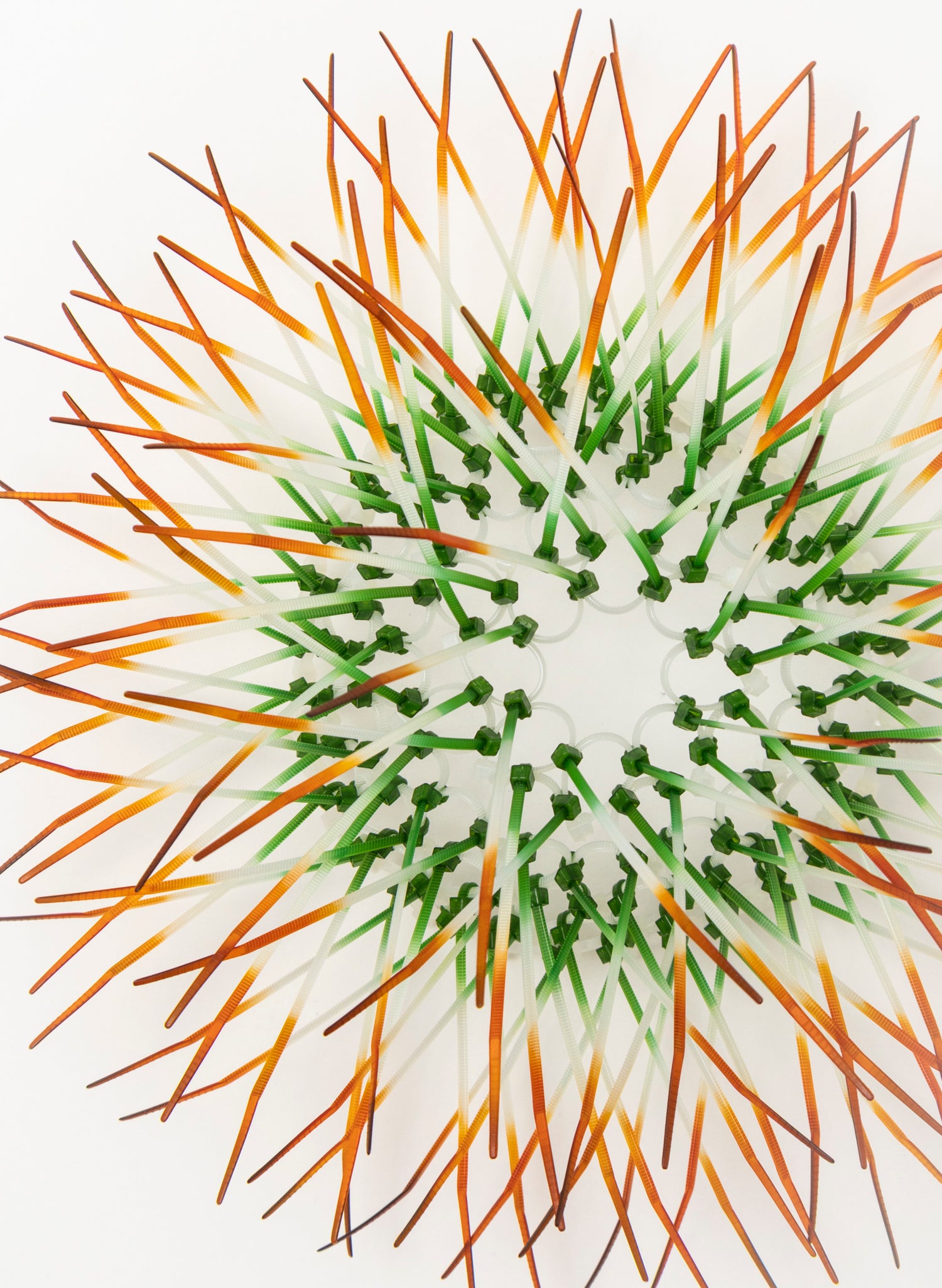 Mini Kina - Green  / Burnt Orange