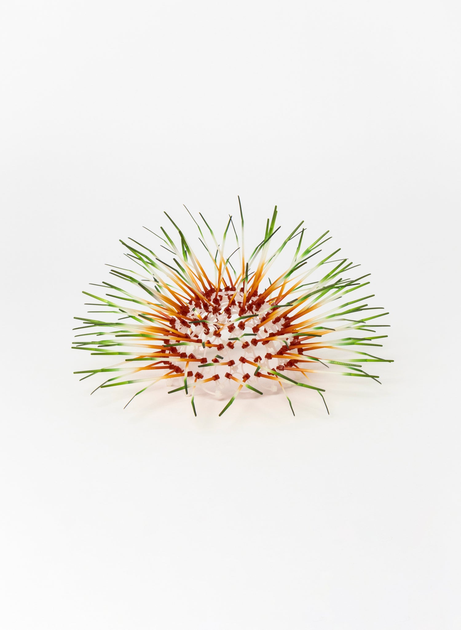 Mini Kina - Burnt Orange / Green