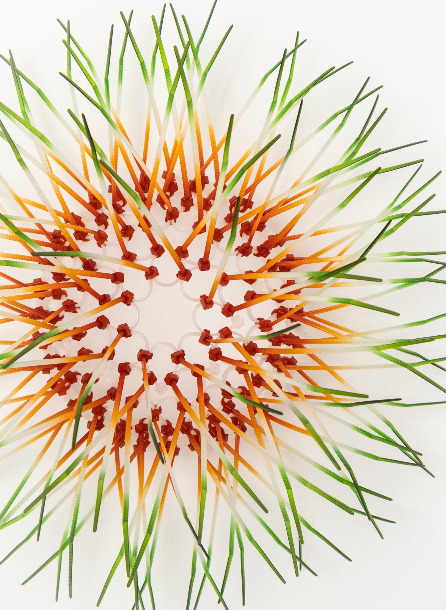 Mini Kina - Burnt Orange / Green