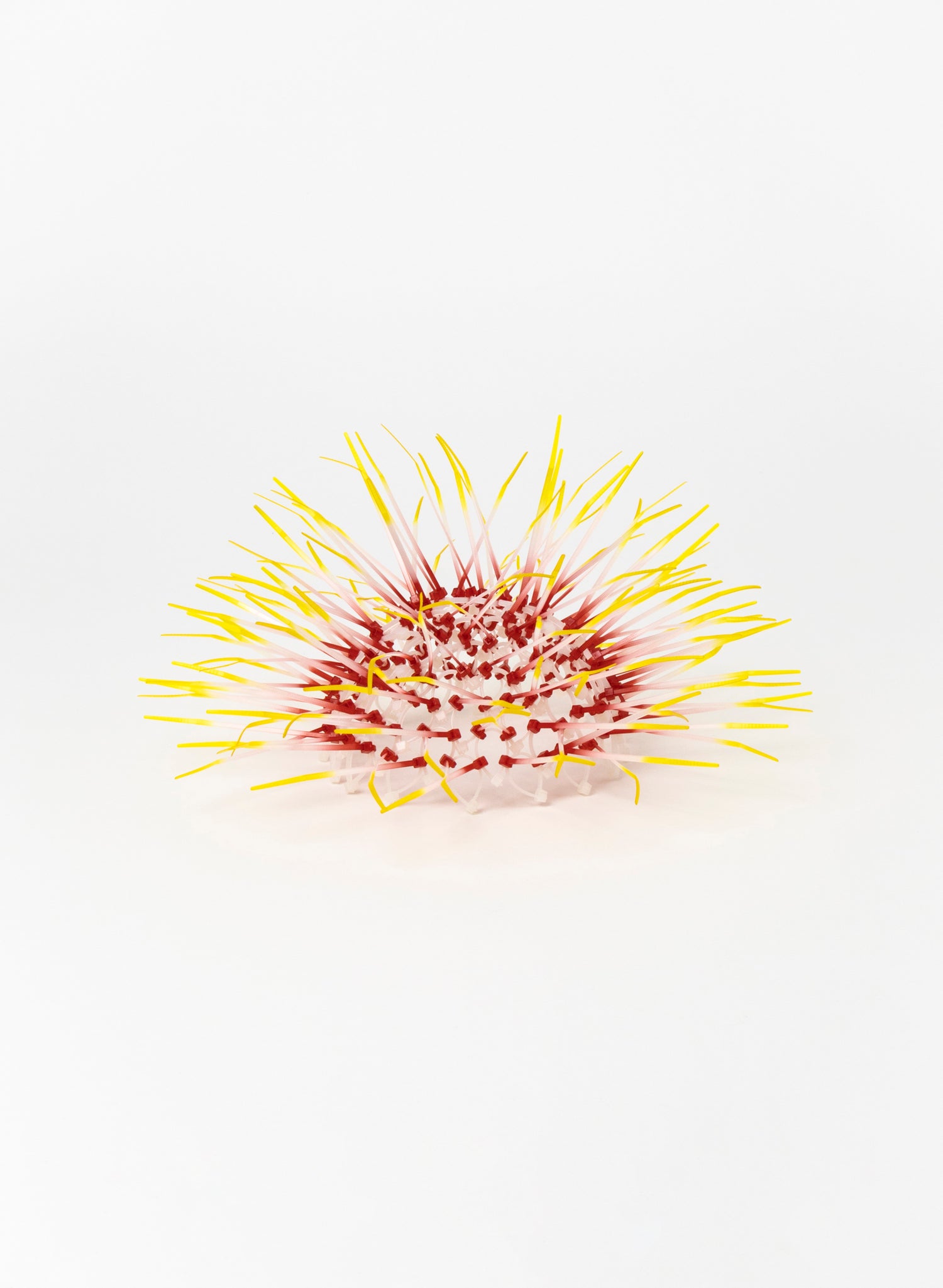 Mini Kina - Pink / Yellow