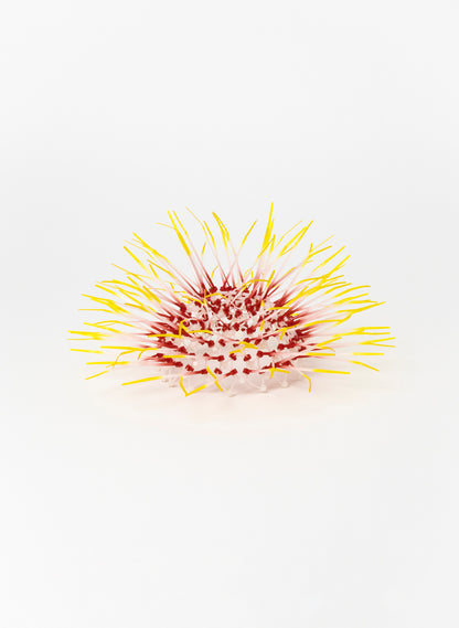 Mini Kina - Pink / Yellow