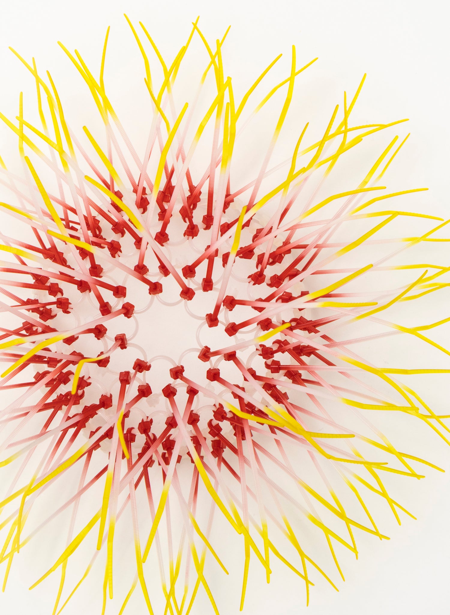 Mini Kina - Pink / Yellow