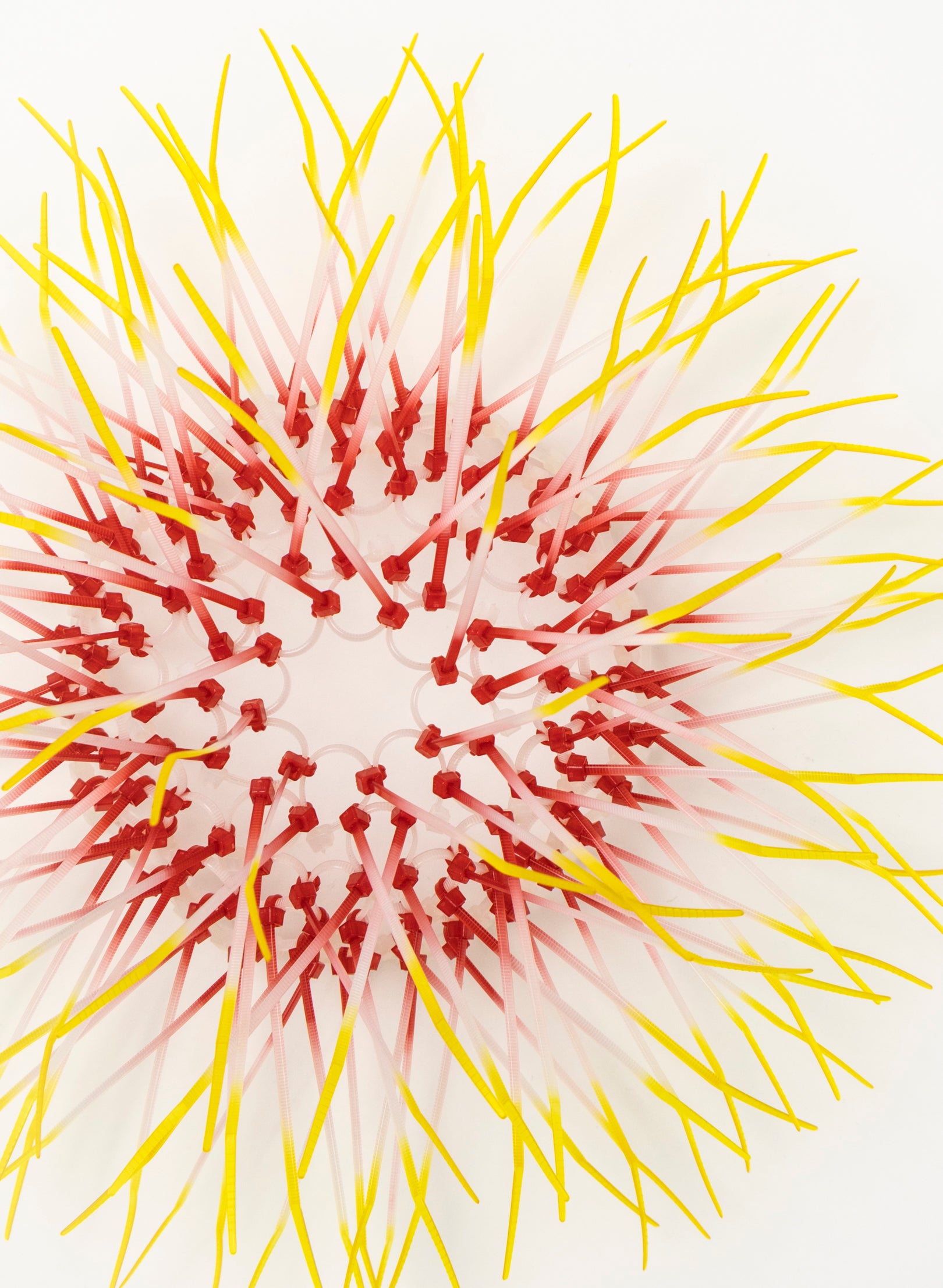 Mini Kina - Pink / Yellow