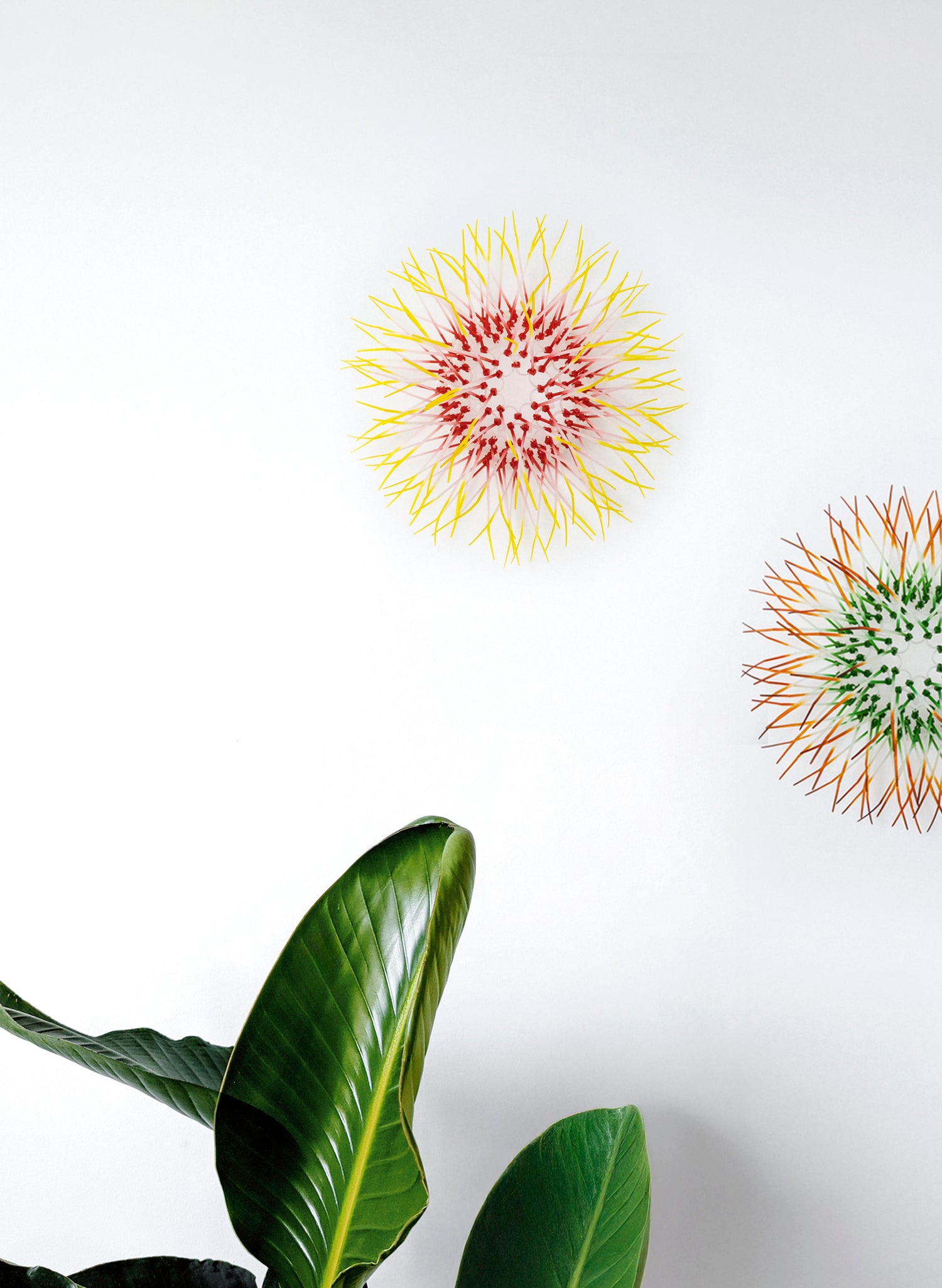 Mini Kina - Pink / Yellow