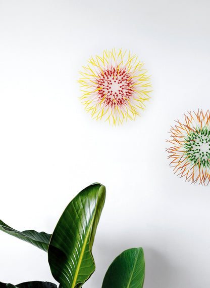 Mini Kina - Pink / Yellow