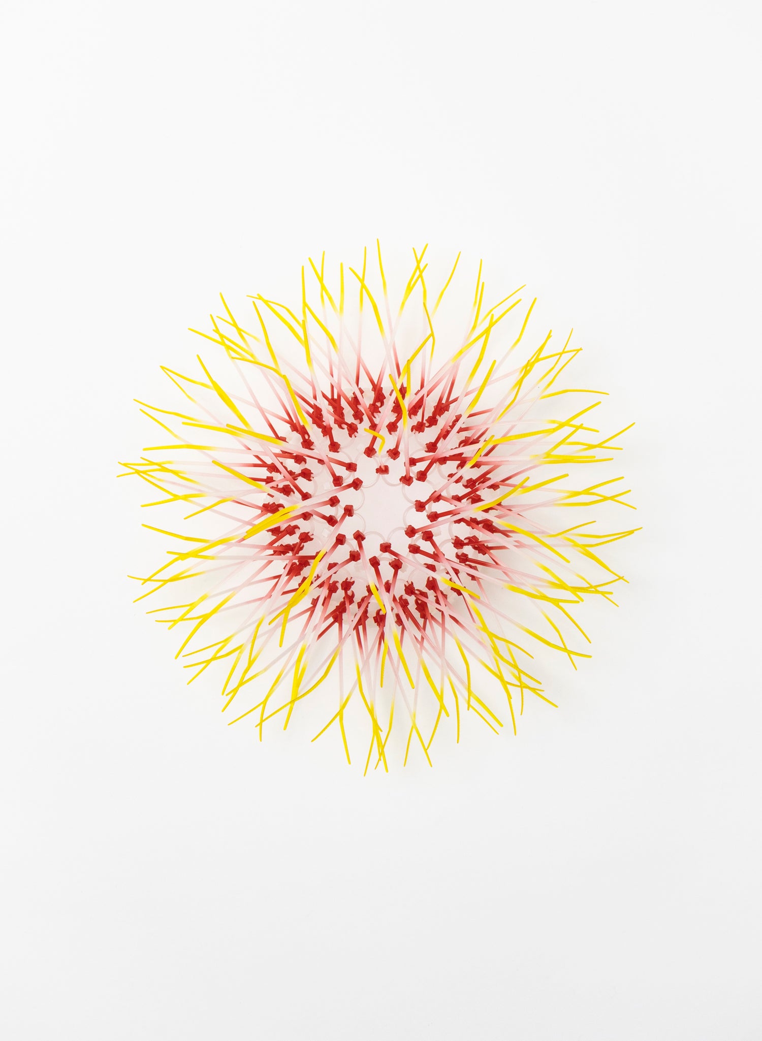 Mini Kina - Pink / Yellow