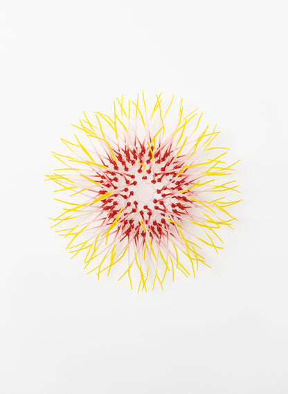 Mini Kina - Pink / Yellow