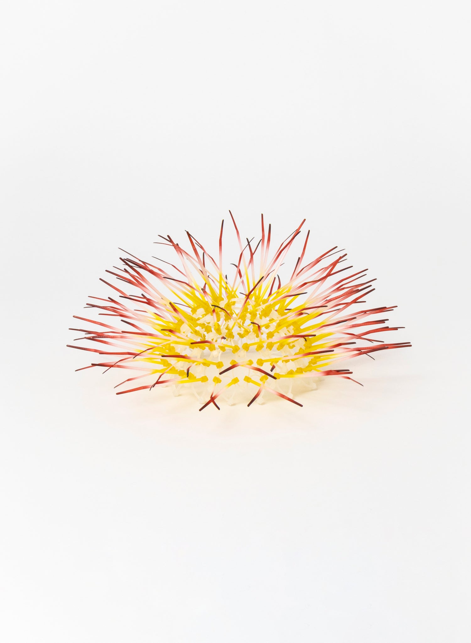 Mini Kina - Yellow / Pink