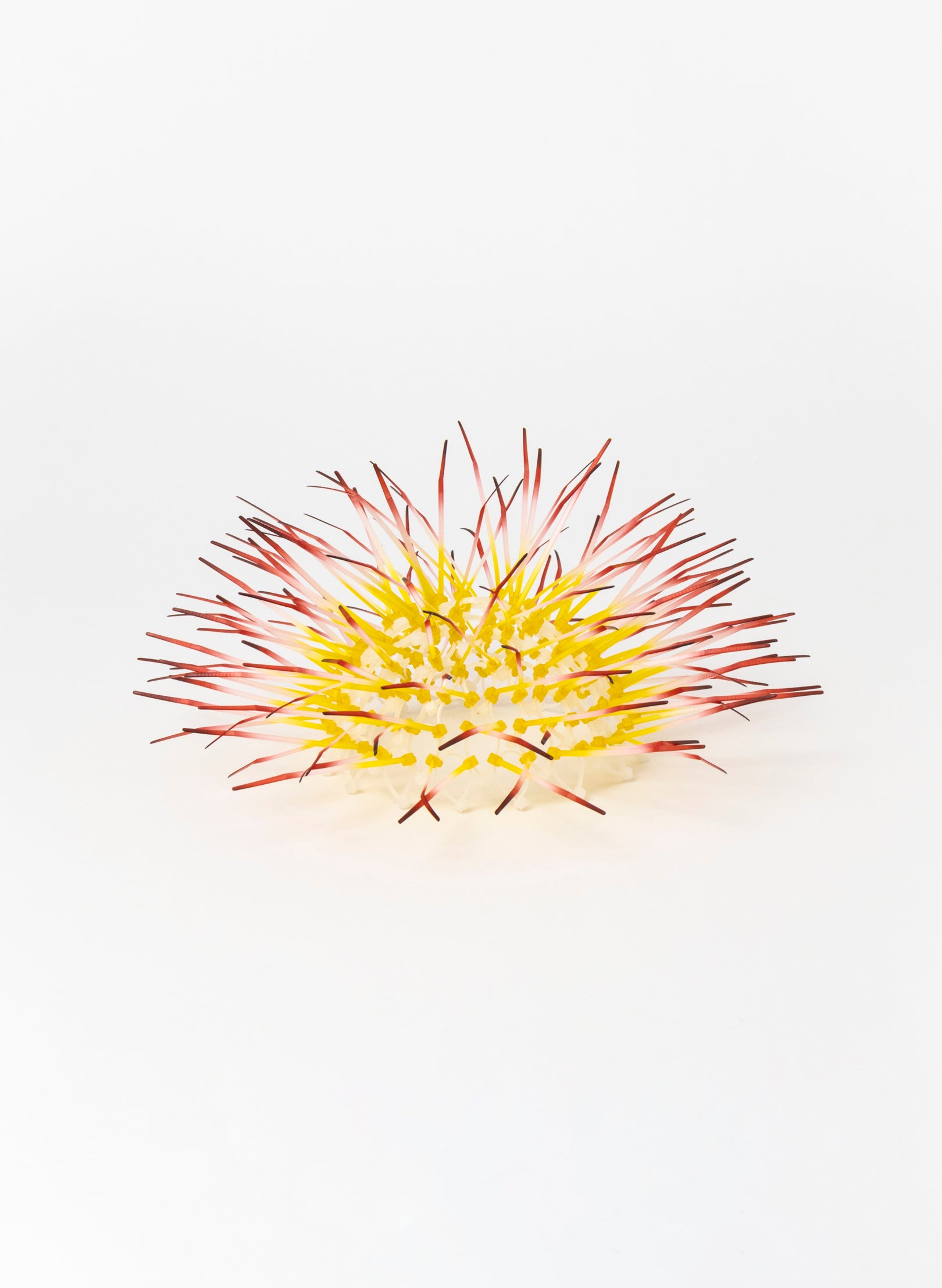 Mini Kina - Yellow / Pink