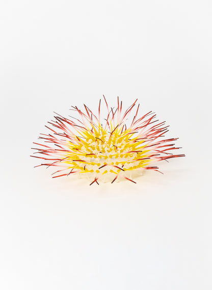 Mini Kina - Yellow / Pink