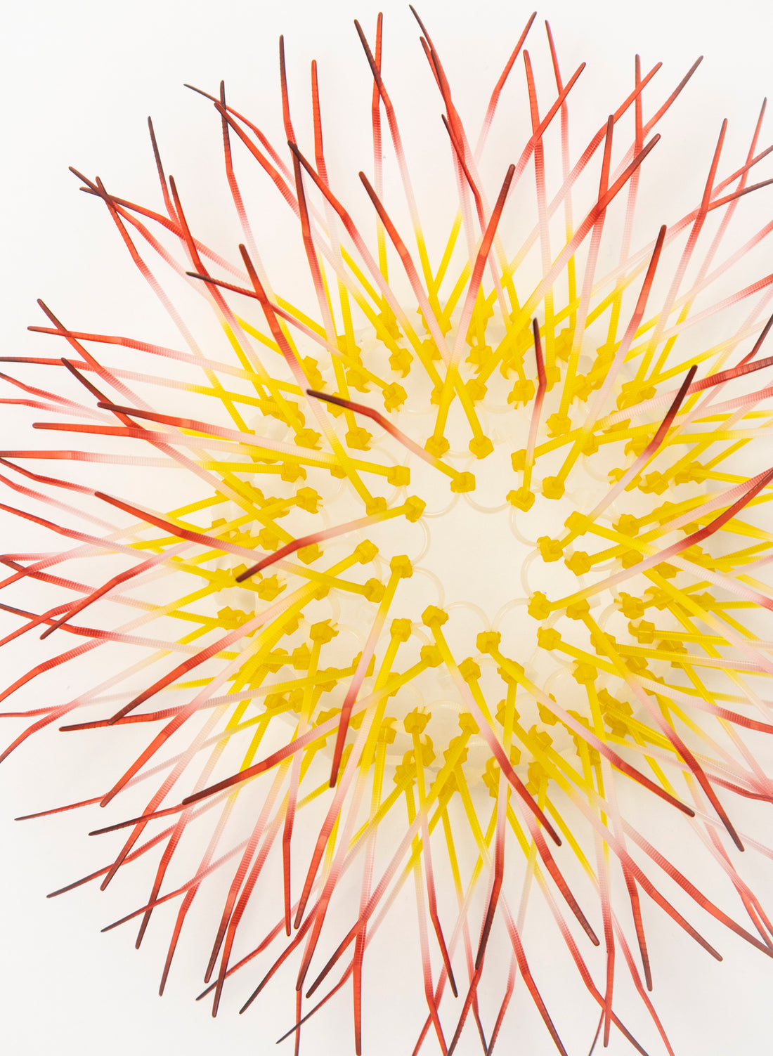 Mini Kina - Yellow / Pink