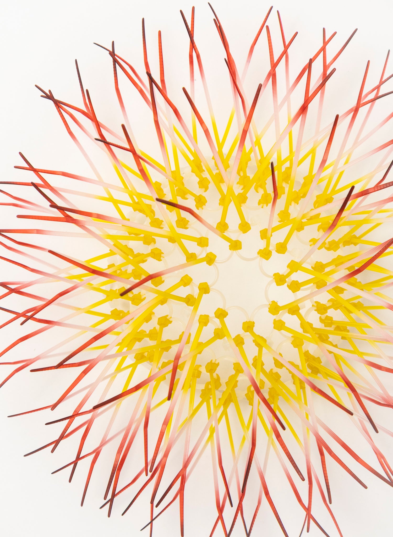 Mini Kina - Yellow / Pink