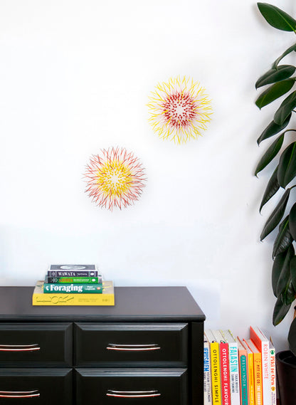 Mini Kina - Yellow / Pink