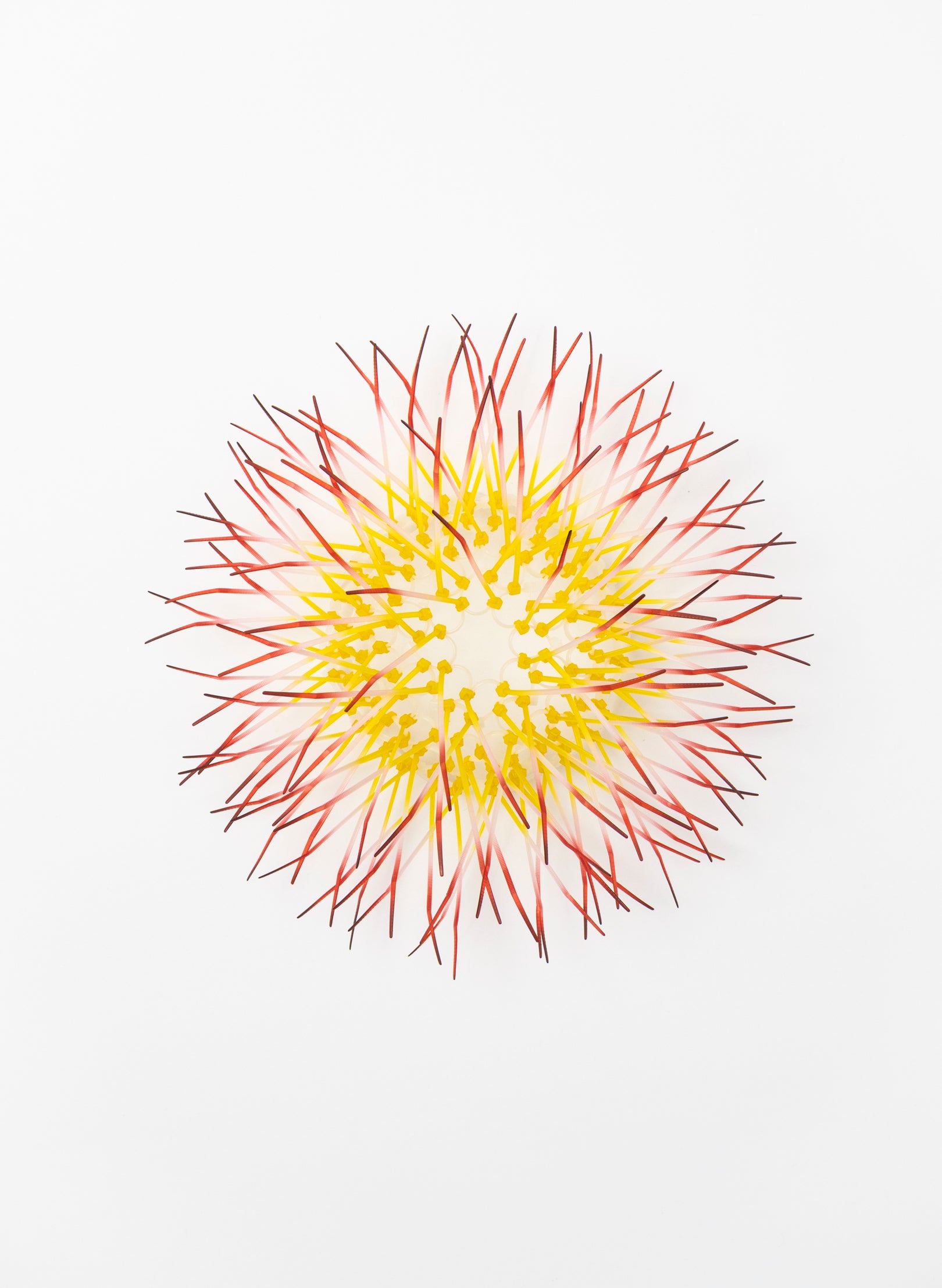 Mini Kina - Yellow / Pink