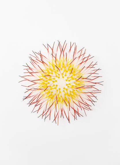 Mini Kina - Yellow / Pink