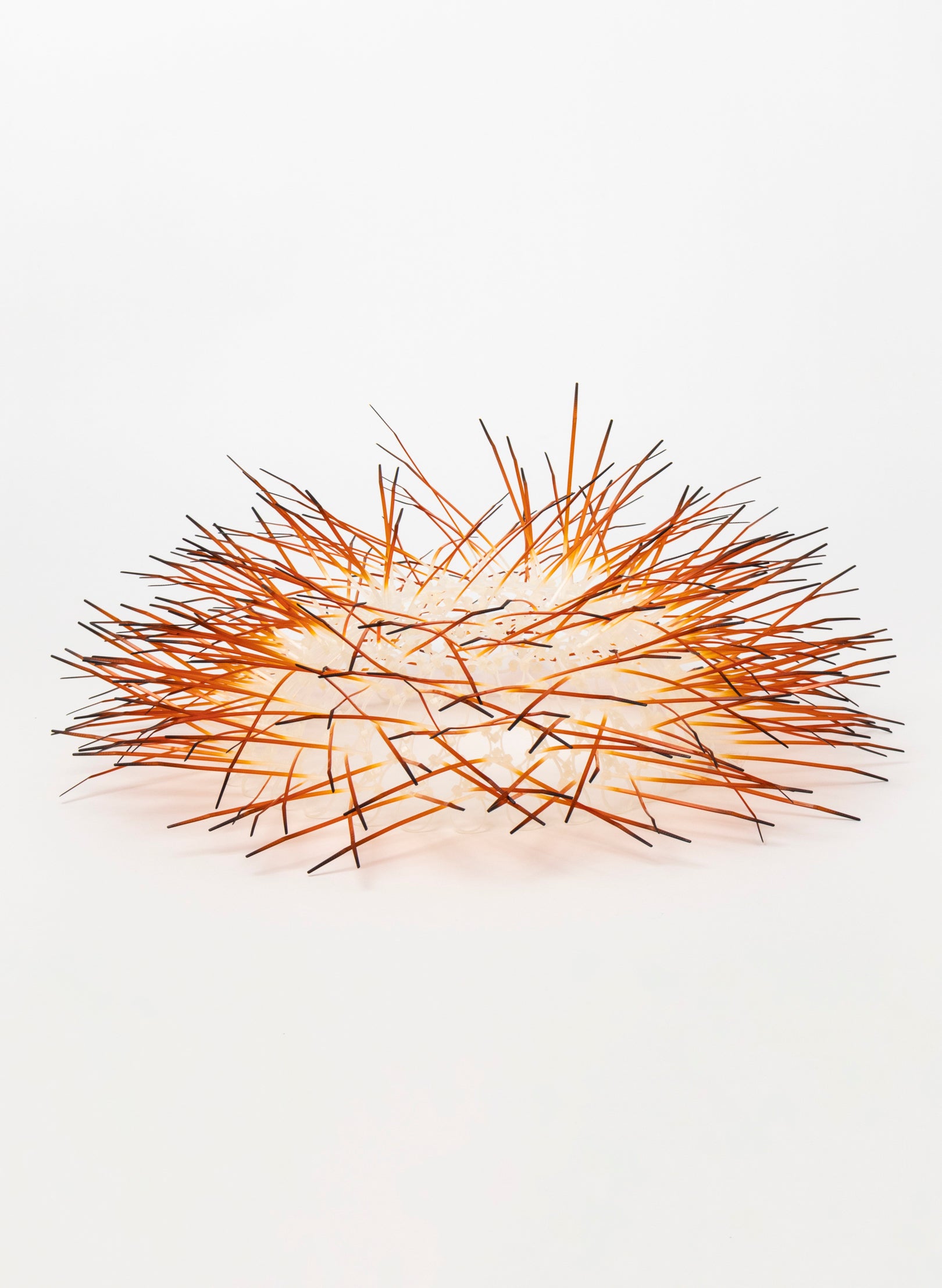 Large Kina - Burnt Orange