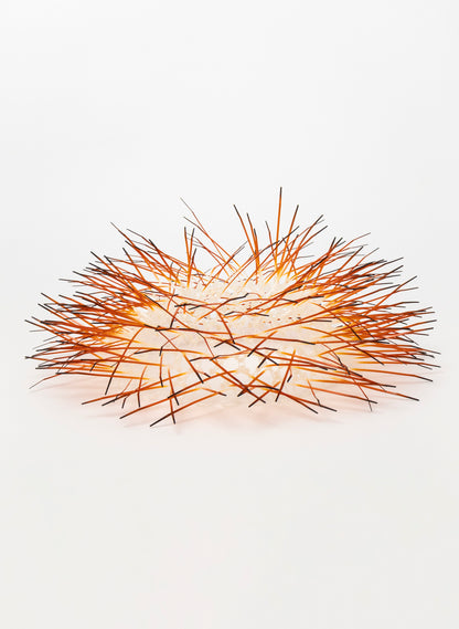 Large Kina - Burnt Orange